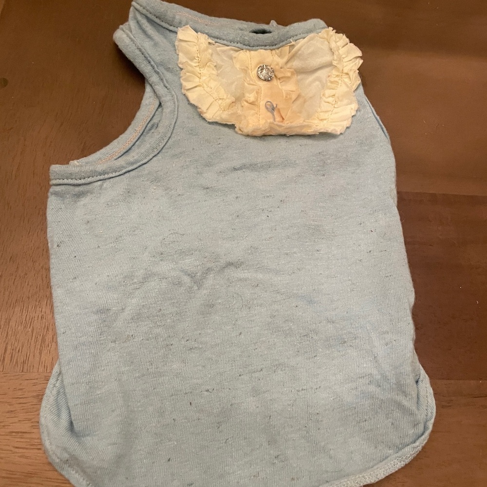 Light Blue Dog Shirt with Ruffle Detail Louisdog M Clothes  6-8 lb dog